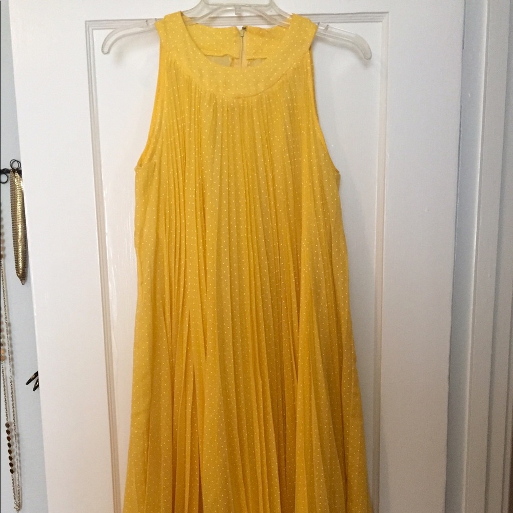 Vintage accordion dress